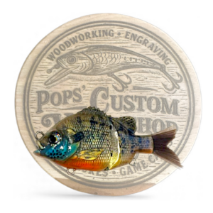 Hand painted bluegill glide bait custom bass fishing lure